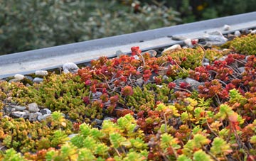 the cost of East Chelborough green roof installation
