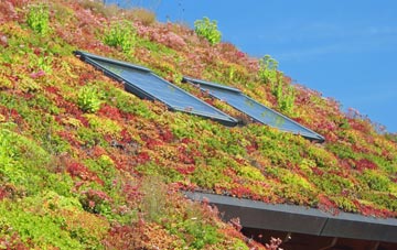 East Chelborough living roof systems