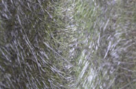 East Chelborough fibreglass roof work